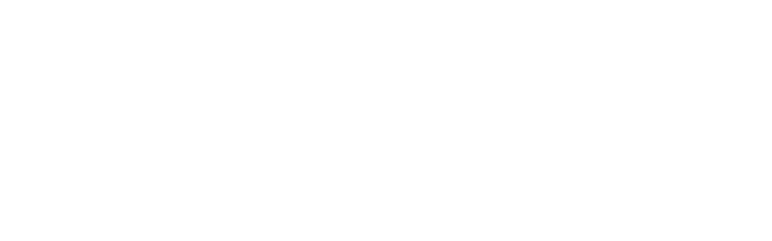 W1 Capital